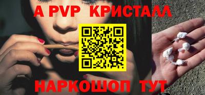 спиды Новодвинск