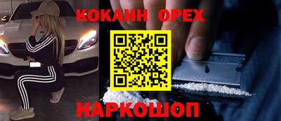 спиды Новодвинск