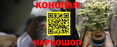 спиды Новодвинск