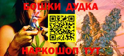 спиды Новодвинск