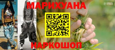 спиды Новодвинск