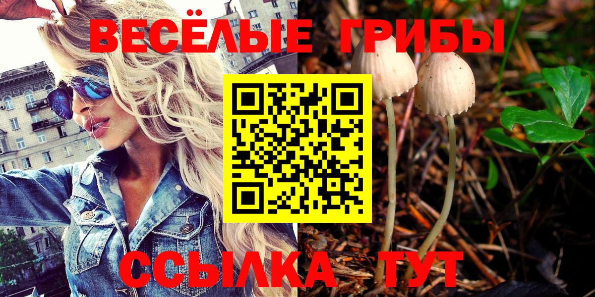 Галлюциногенные грибы MAGIC MUSHROOMS Тосно
